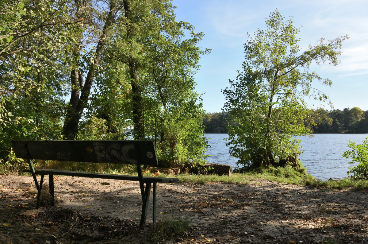 DSC_9638.JPG