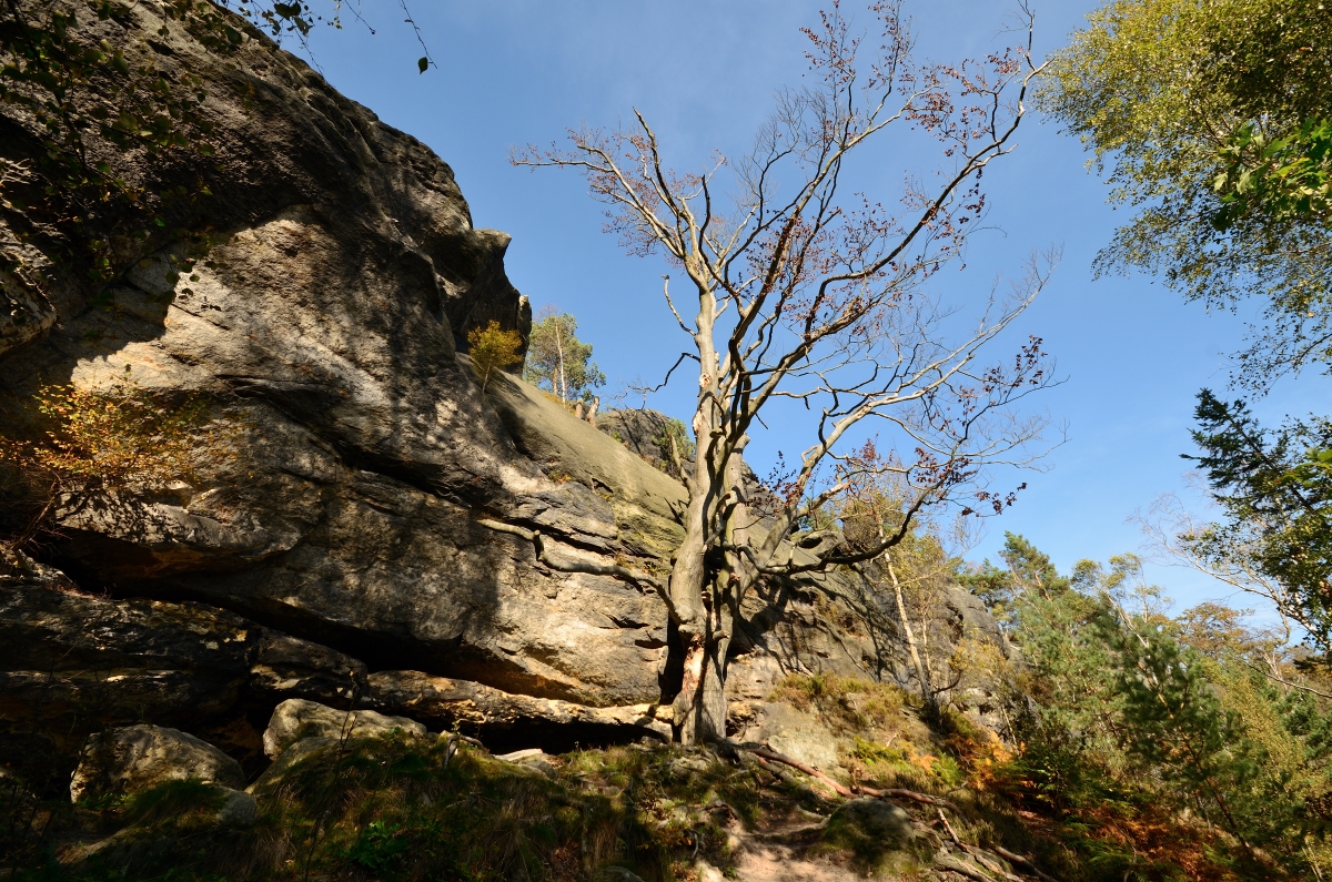 DSC_9638_00001n.jpg