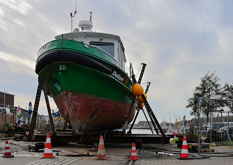 DSC_9648.jpg