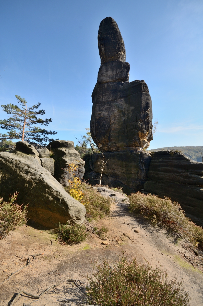 DSC_9648_00001n.jpg