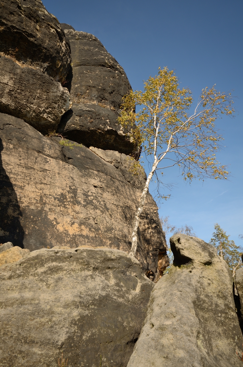 DSC_9649_00001n.jpg