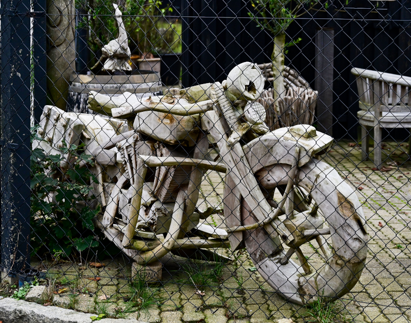 DSC_9656_