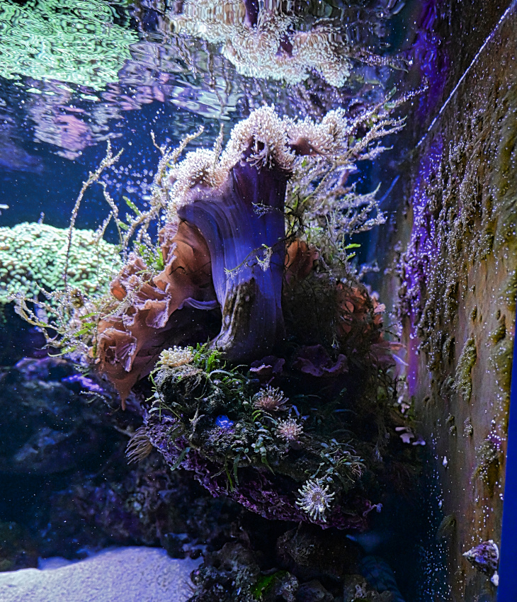 DSC_9669.jpg