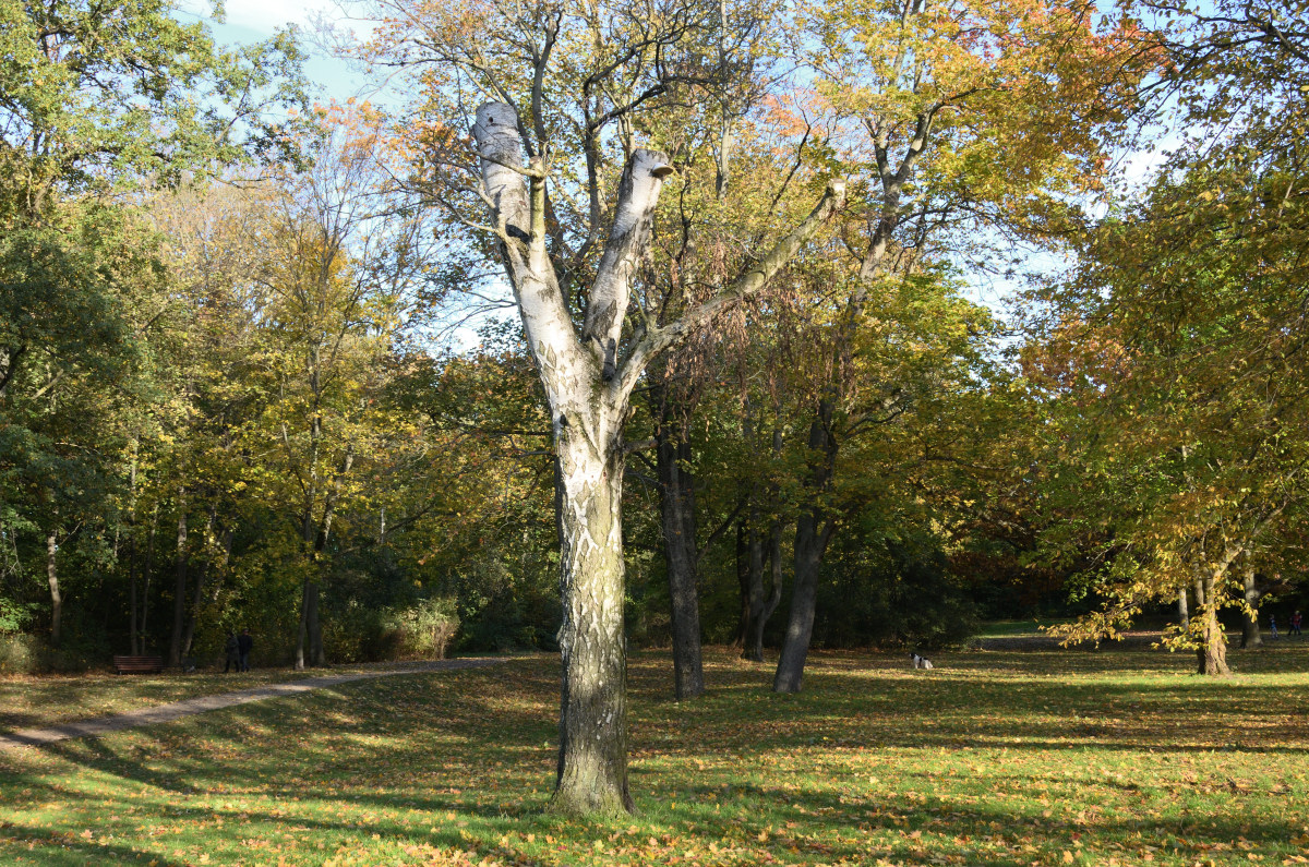 DSC_9670.JPG
