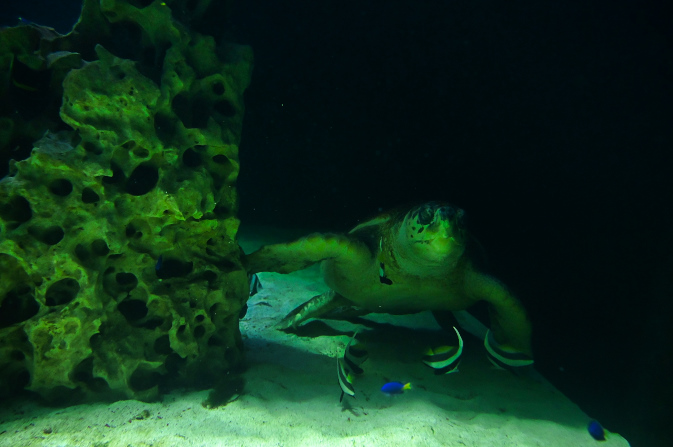 DSC_9714.jpg