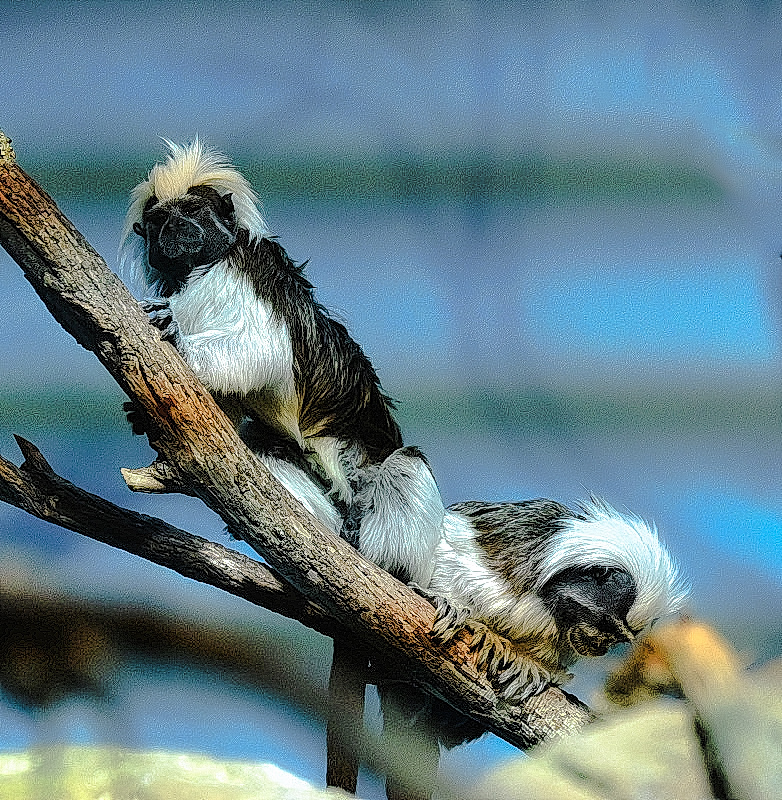 DSC_9789_l.jpg