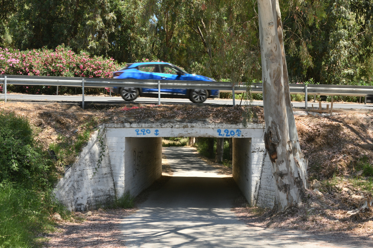 DSC_9811.JPG