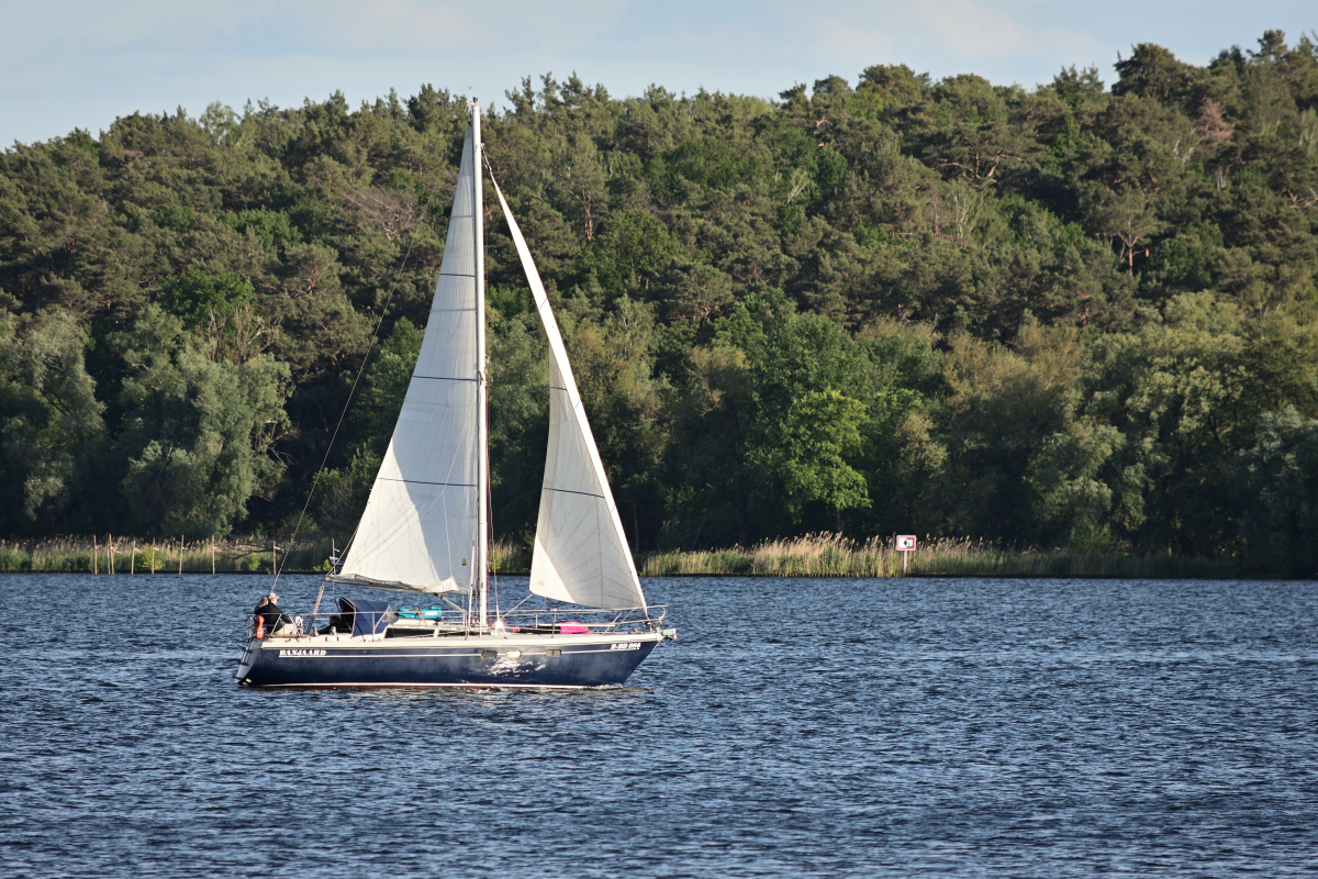 DSC_9819.JPG