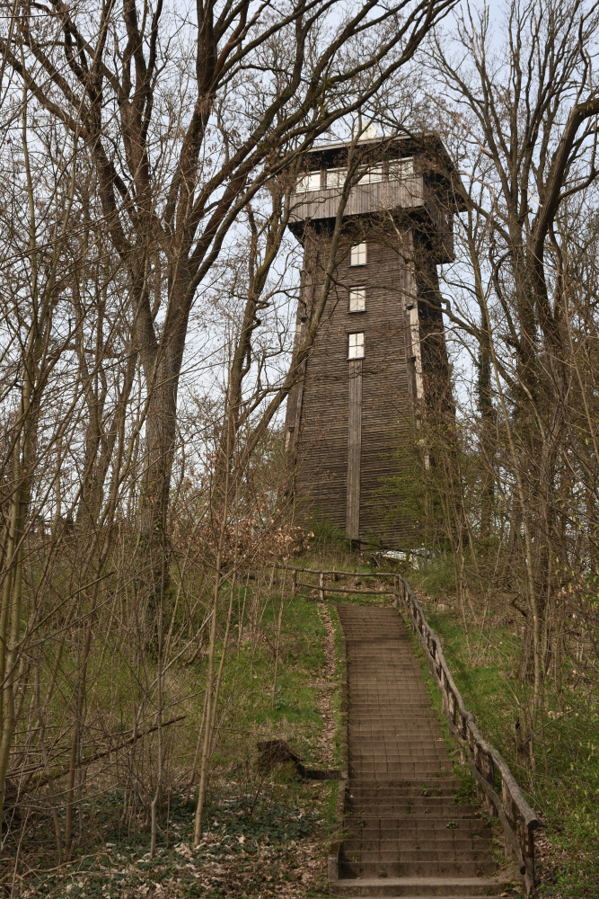 DSC_9886.JPG