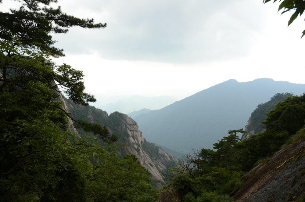 DSC_9890_02.JPG