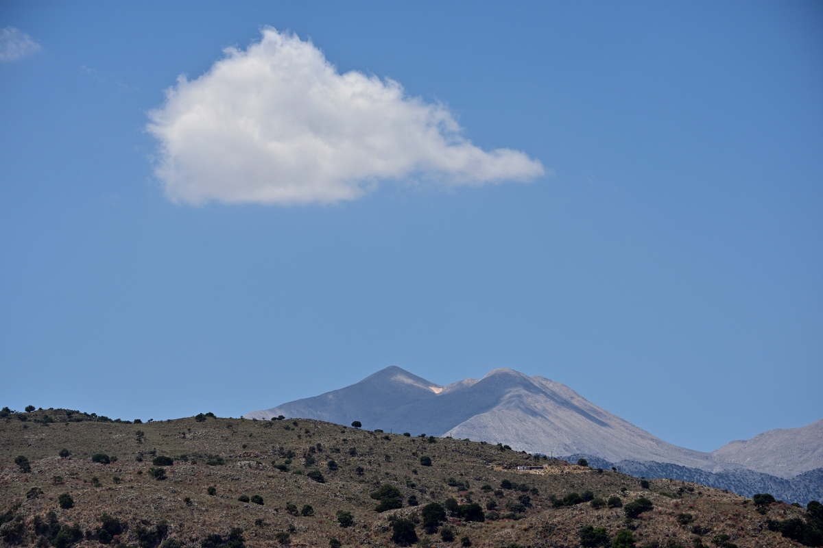 DSC_9891.JPG