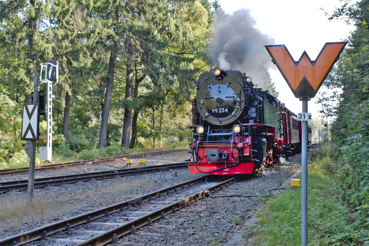 DSC_9894.jpg