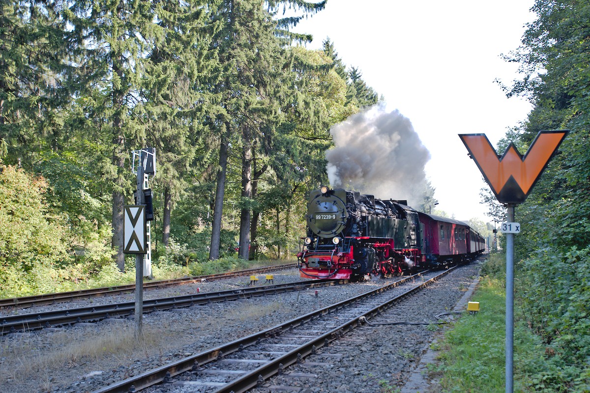 DSC_9903.jpg