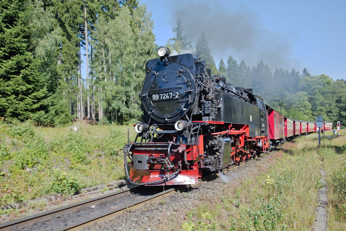 DSC_9913.jpg