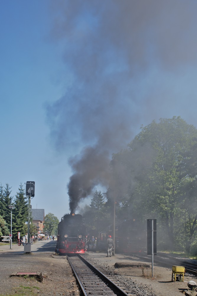 DSC_9926.jpg