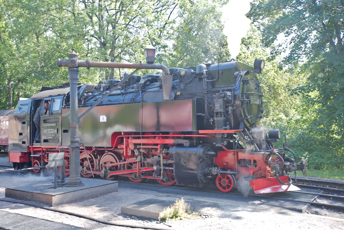 DSC_9936.jpg