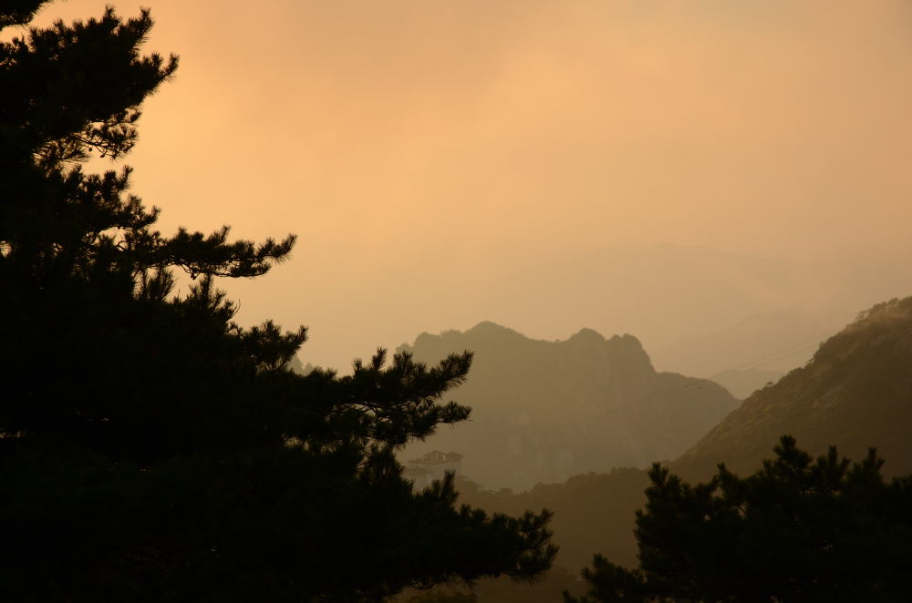 DSC_9951.JPG