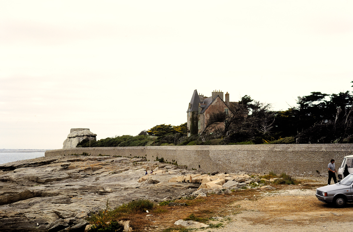 DSC_9961.jpg