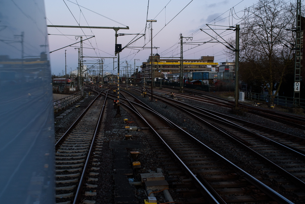 DSC_f7029.jpg