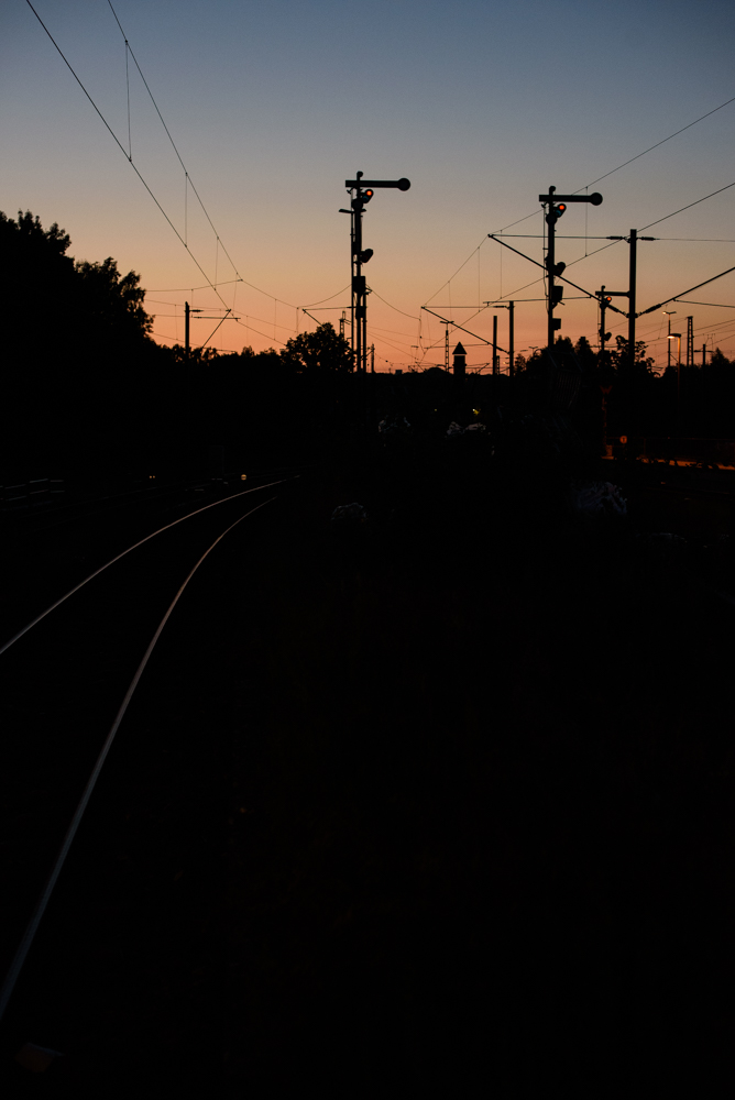 DSC_f7665.jpg