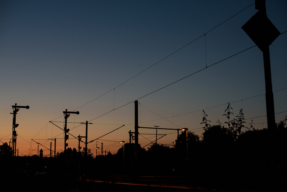 DSC_f7669.jpg