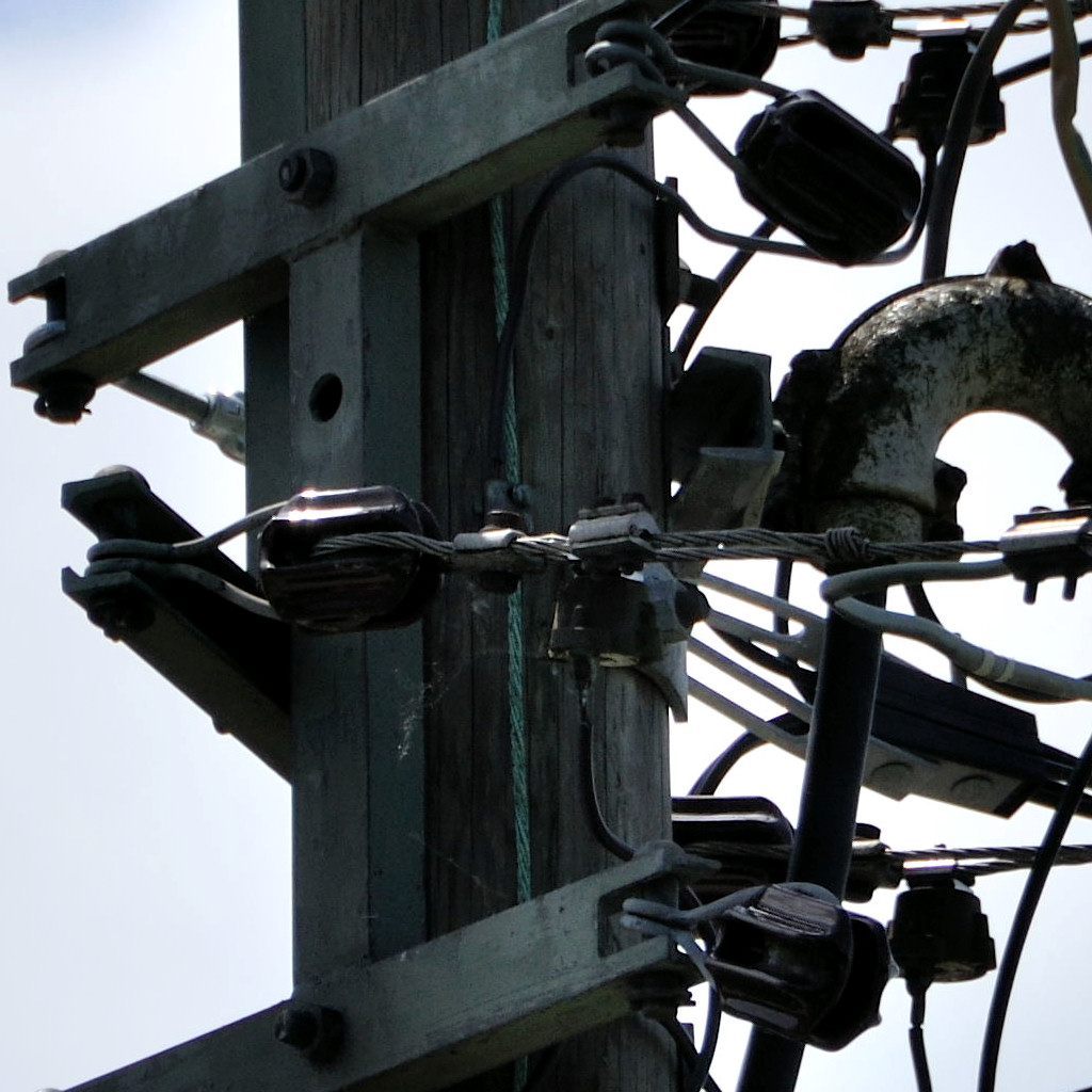 DSCC1446
100% Crop von DSCV1446
18-200VRII bei 200mm f/5.6 1/1600s und VR aus.