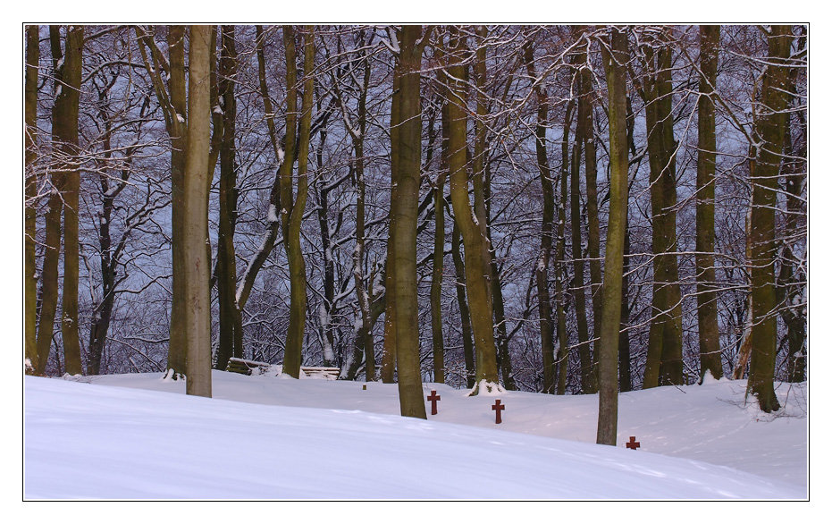 DSCF0030 a