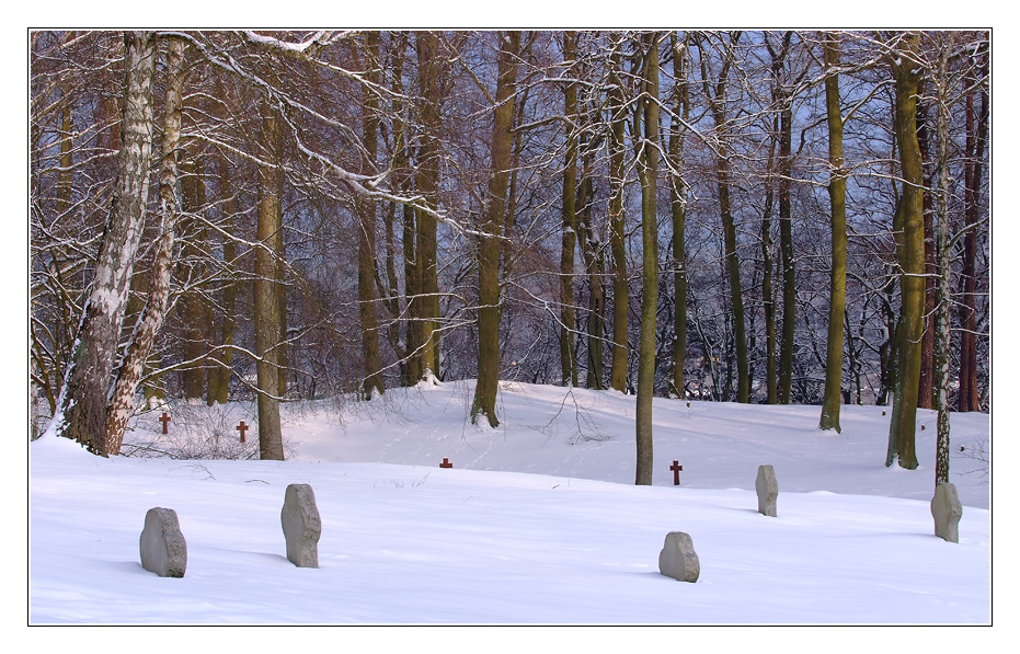 DSCF0036 a