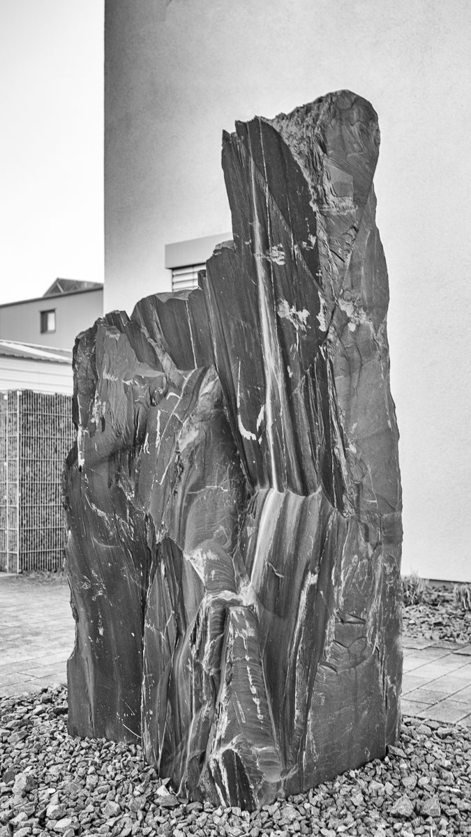 DSCF0093-sw.jpg