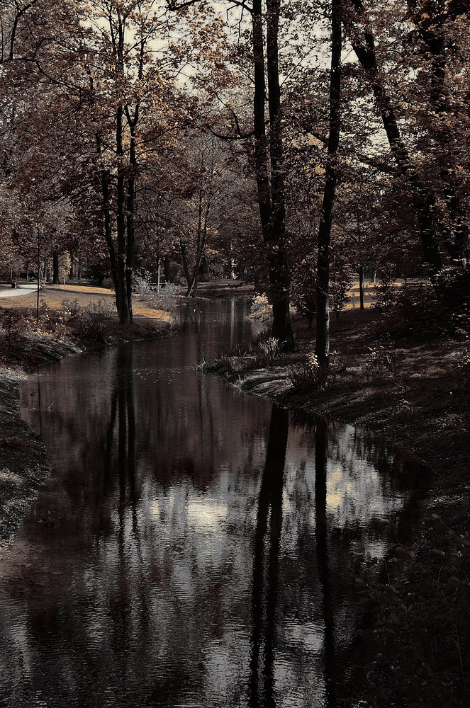 dscf0120f