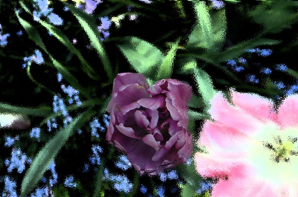 DSCF0134