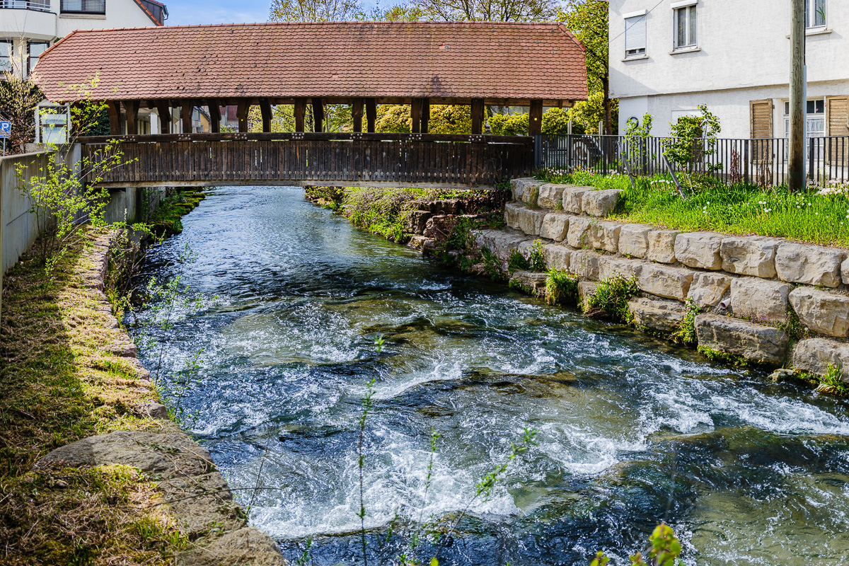 DSCF0149-5.jpg