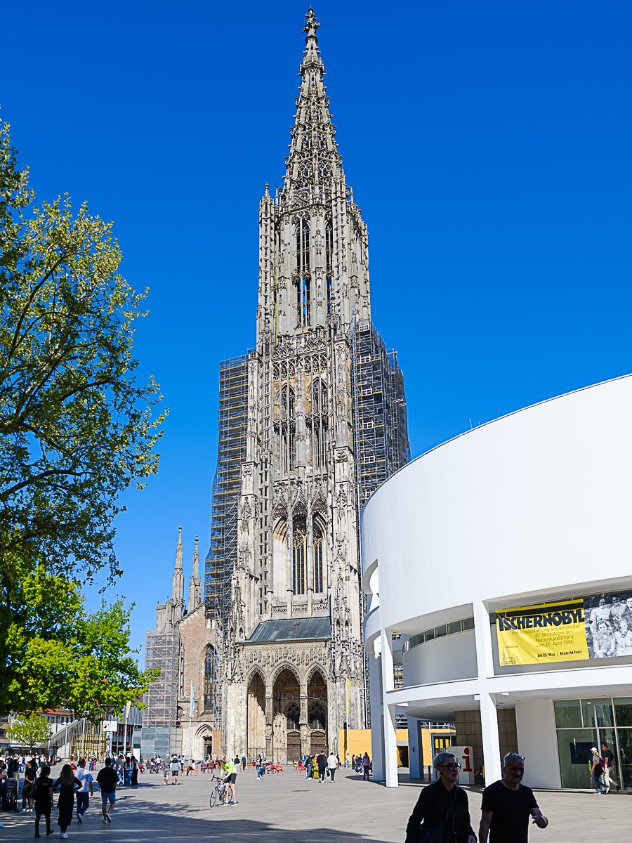DSCF0256.jpg