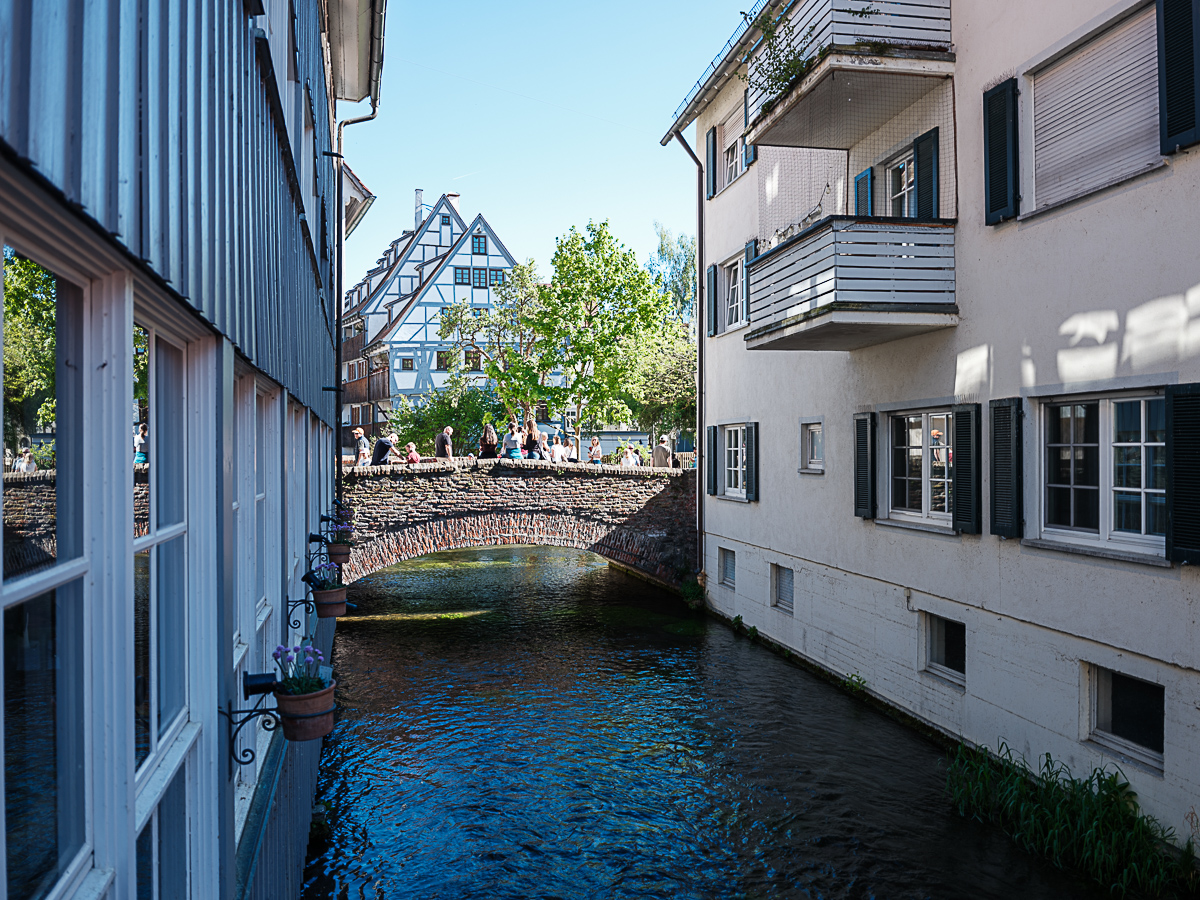 DSCF0263.jpg