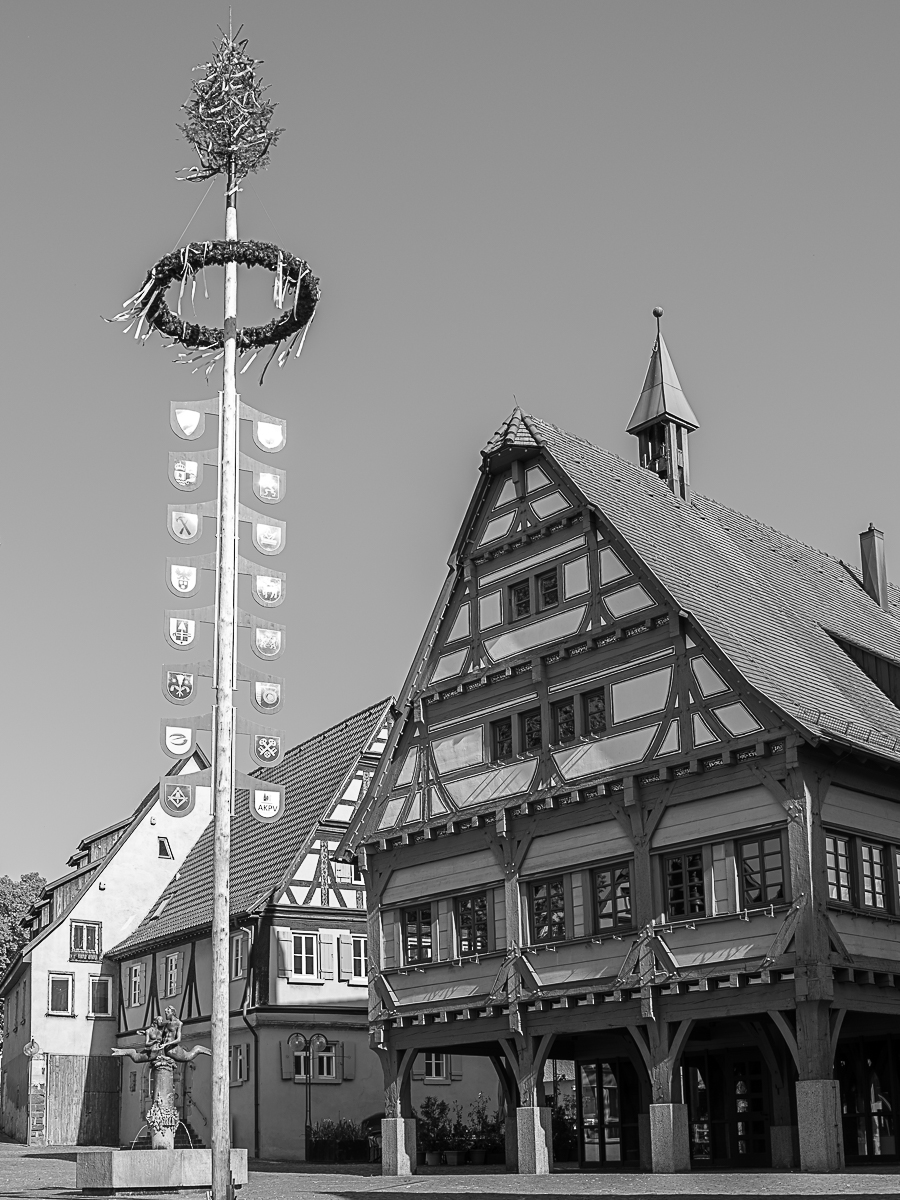 DSCF0366.jpg