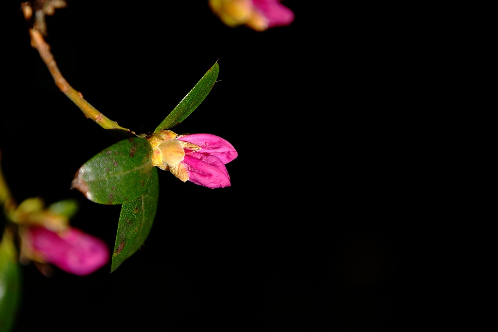 DSCF0409