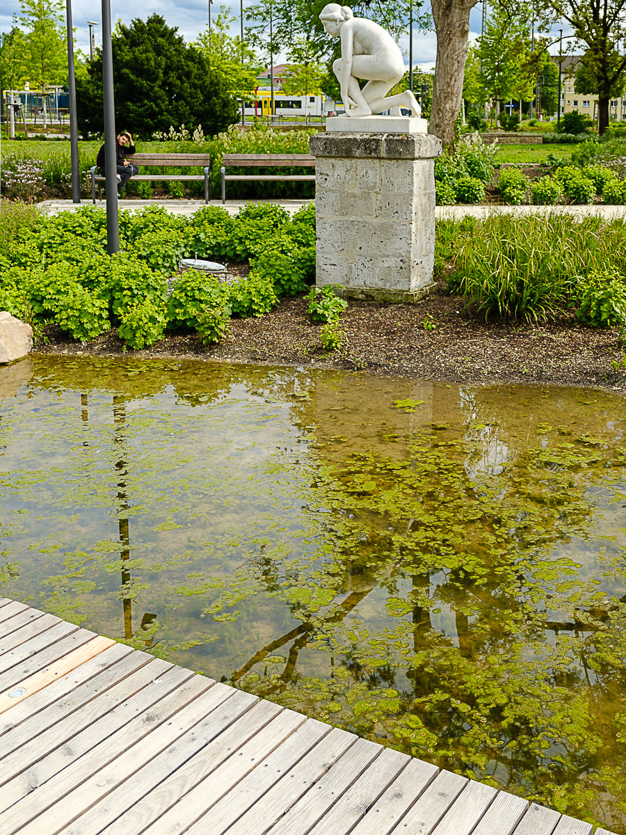 DSCF0438.jpg