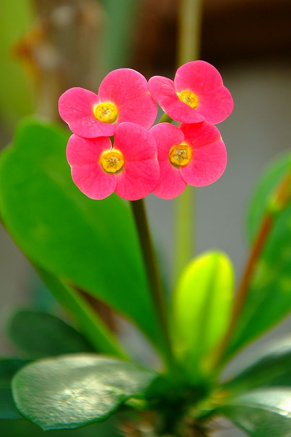DSCF0470