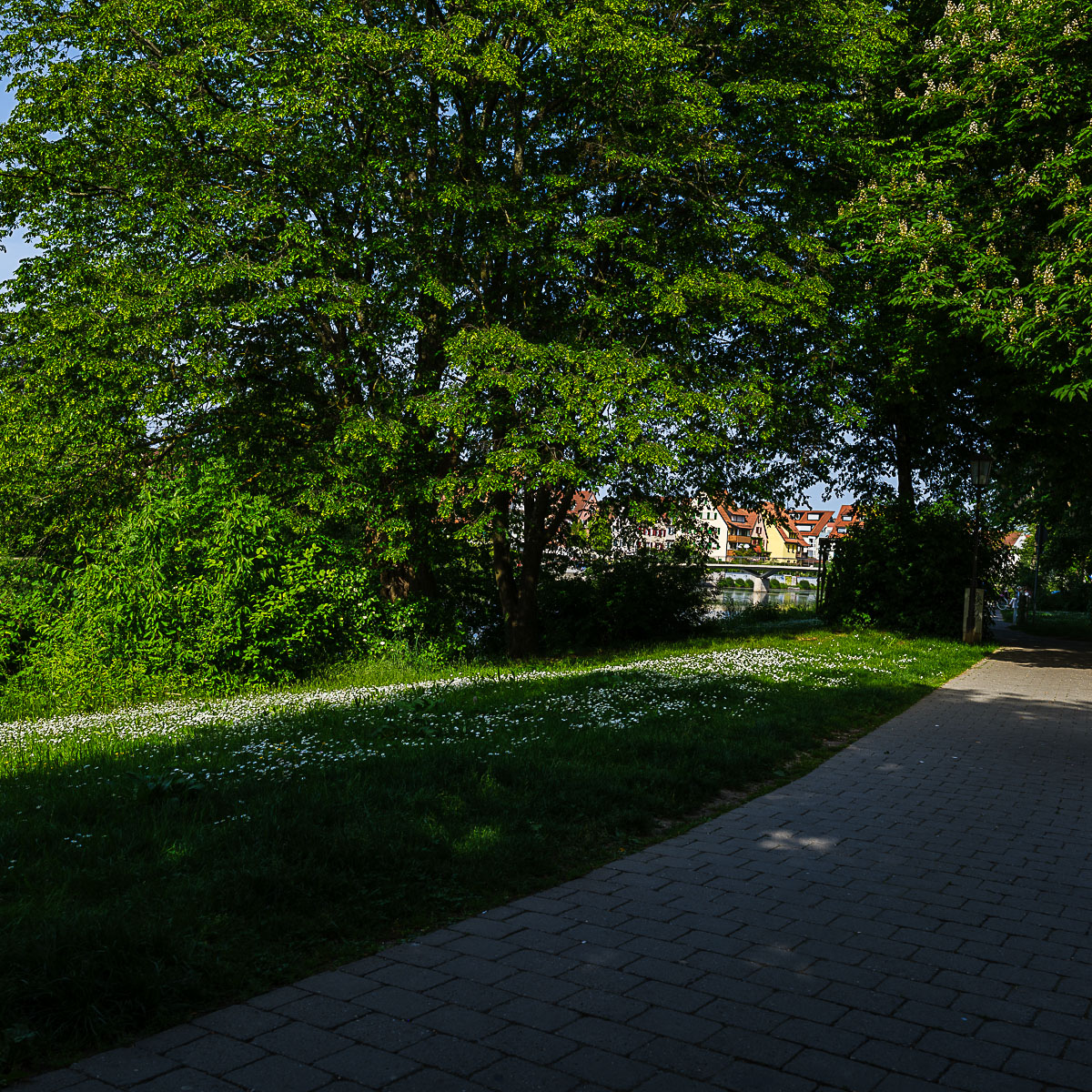 DSCF0534.jpg