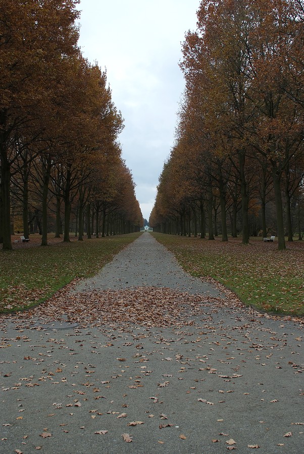 DSCF0541