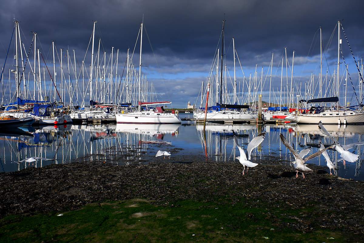 DSCF0584 1