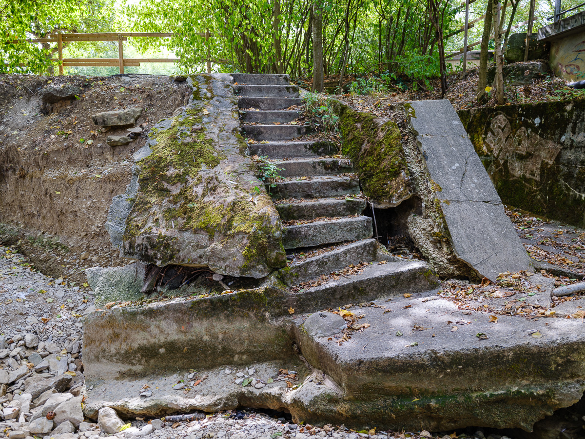 DSCF0621.jpg