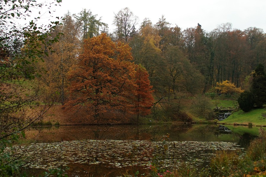 DSCF0696