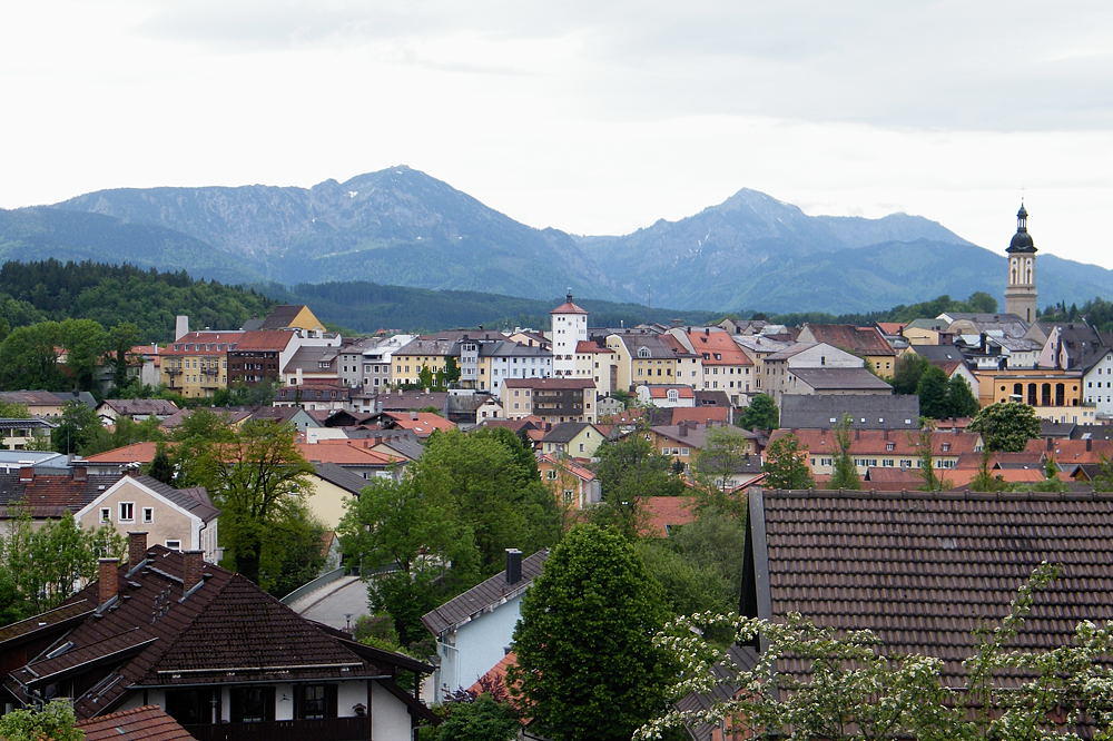 DSCF0842