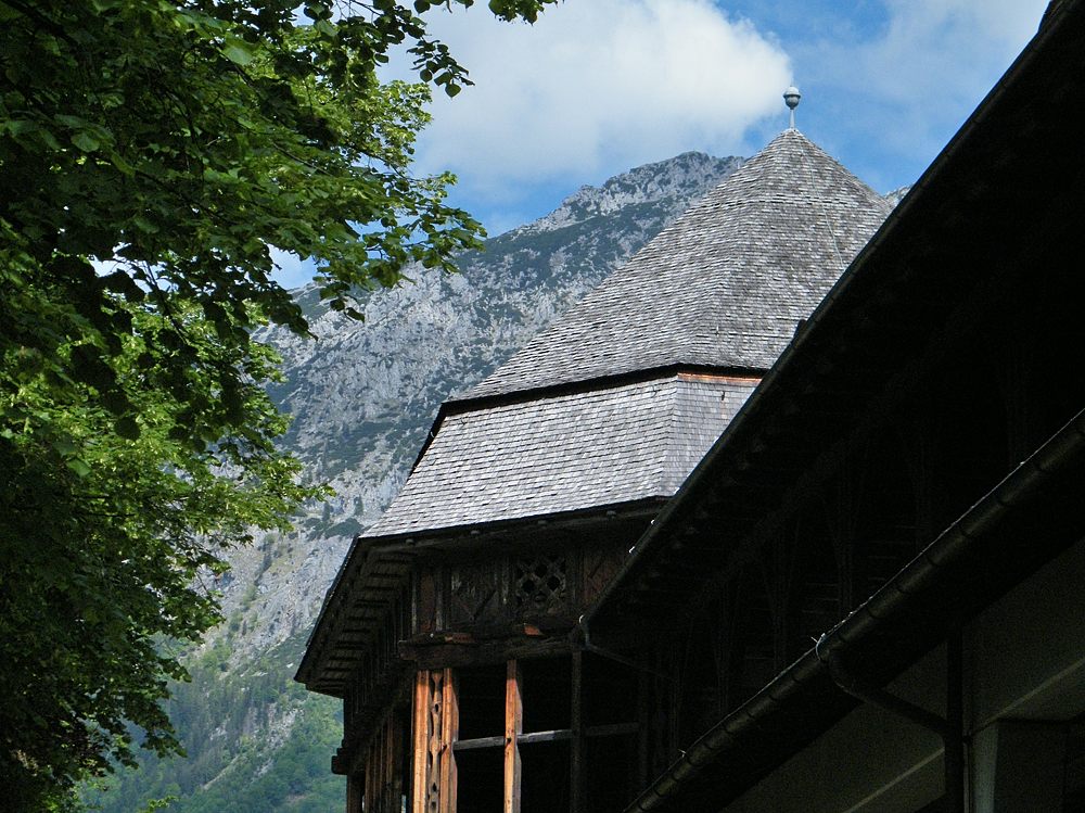 DSCF0881