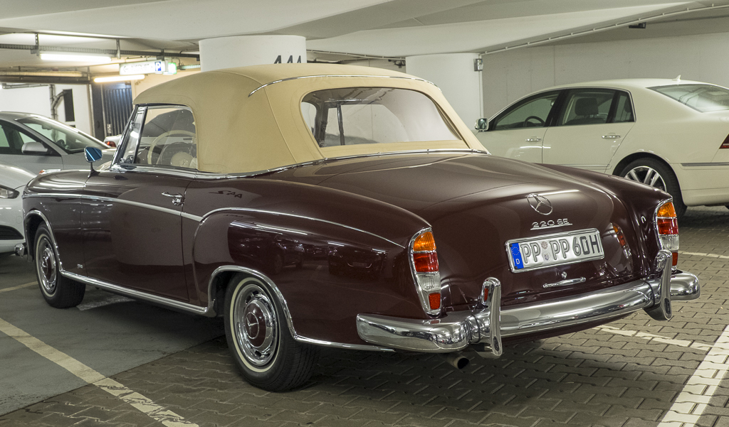 DSCF1309-1.jpg