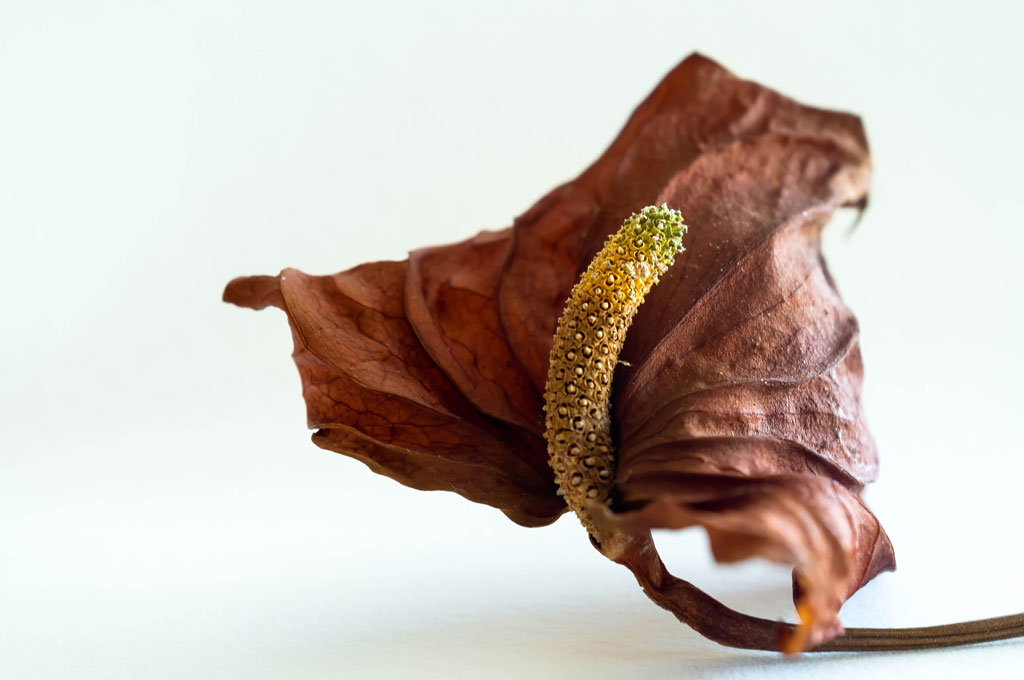 DSCF1430 2