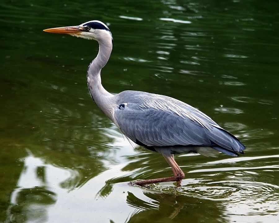 DSCF1572