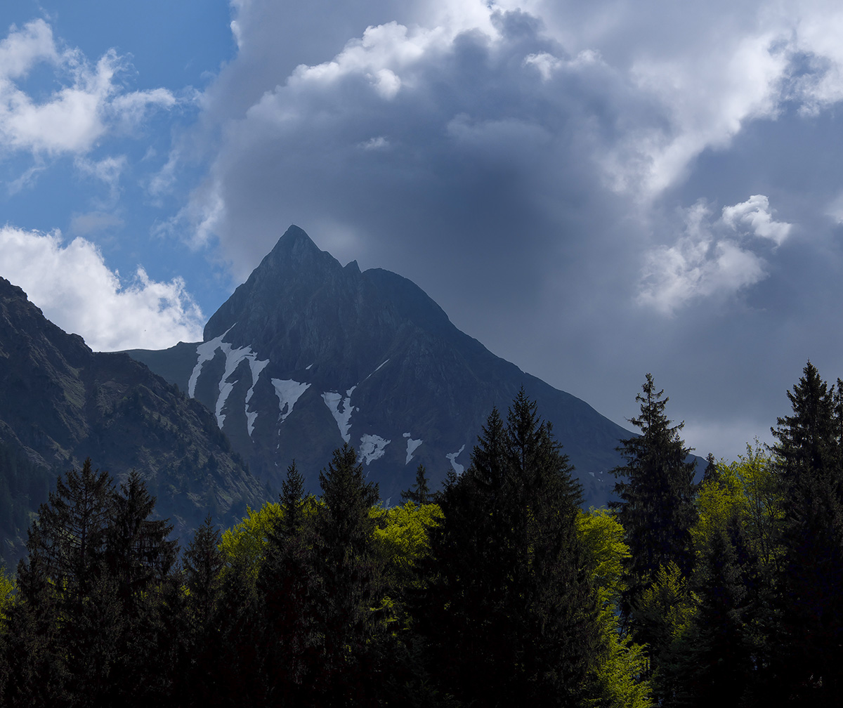 DSCF1625e