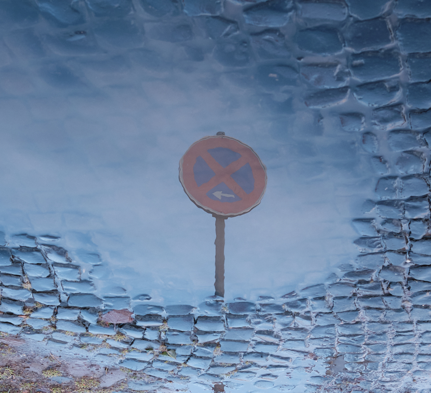 DSCF1823.jpg